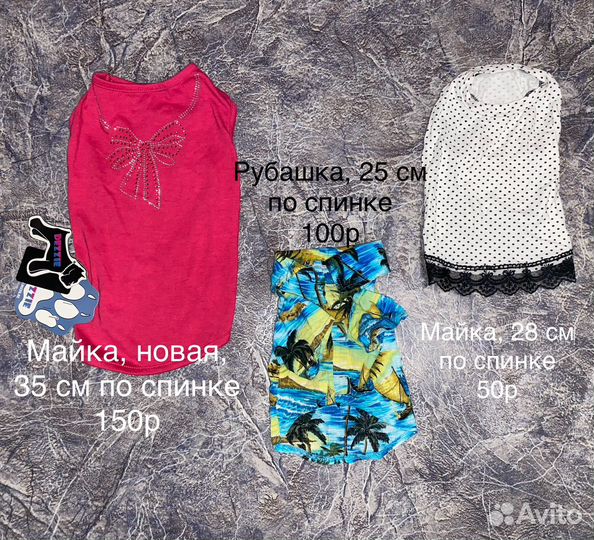 Одежда для собак