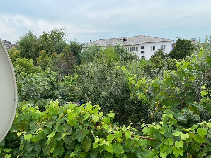 Участок 9 сот. (ИЖС)