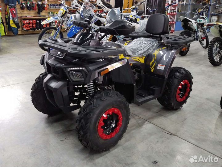 Квадроцикл Motoland Wild Track X 200 Серый