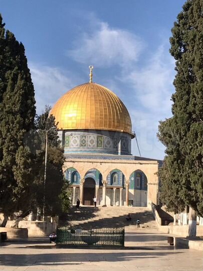 Участок 6 сот. (ИЖС)