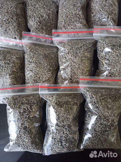 Цветки лаванды крымской