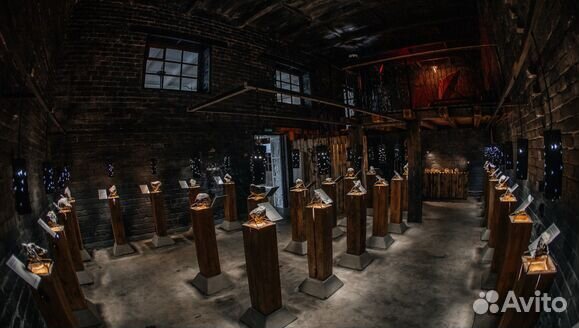 18 окт 23 тур Карельское ожерелье ка3074