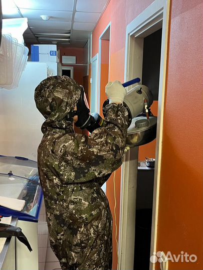 Дезинфекция уничтожение вирусов и бактерий запахов