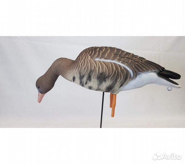 Профиля гусей Элит 3д