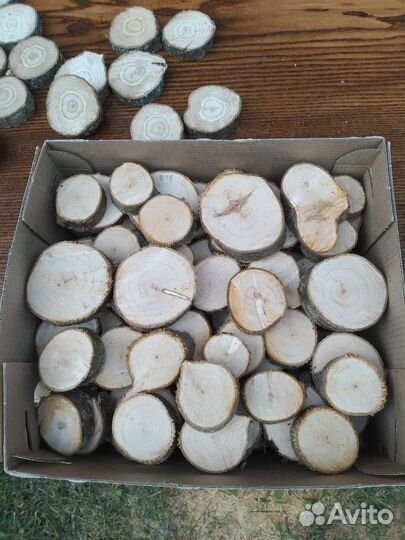 Спилы набор 100шт. разных размеров и пород дерева