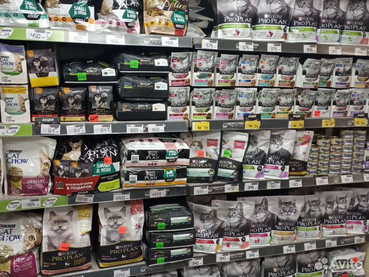 Корм для животных