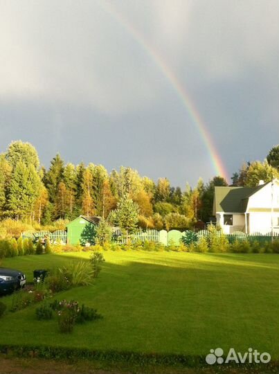 Рулонный газон