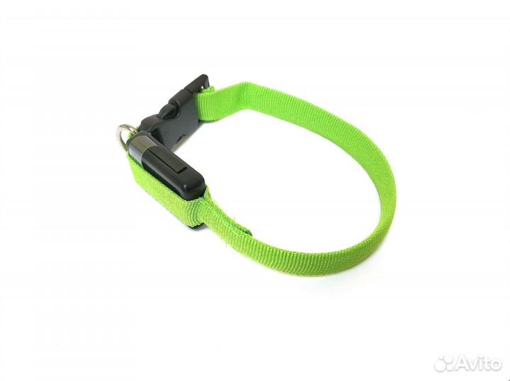 Светящийся ошейник для мелких пород собак