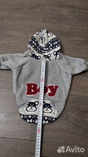 Одежда для собак