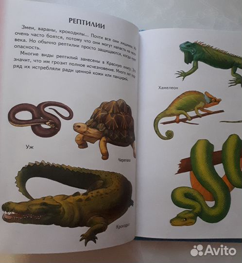 Большая энциклопедия для самых маленьких