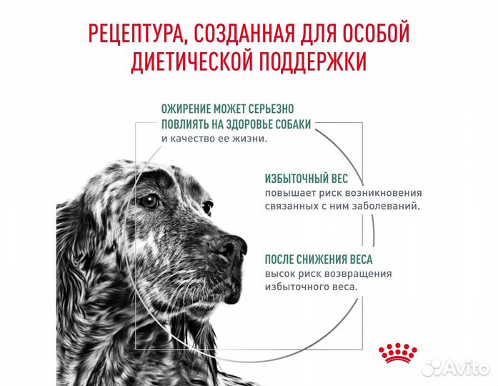 Корм Royal Canin д/собак, контроль избыточного вес