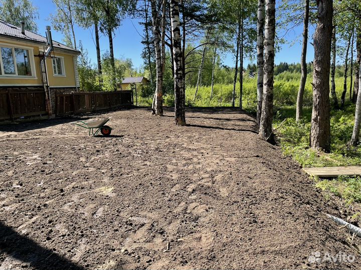 Сеяный плодородный грунт земля