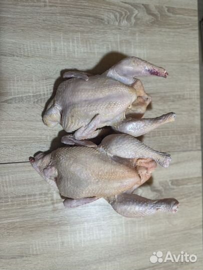 Мясо кролика. Тушка