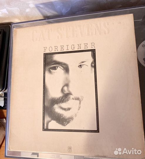 Cat Stevens 