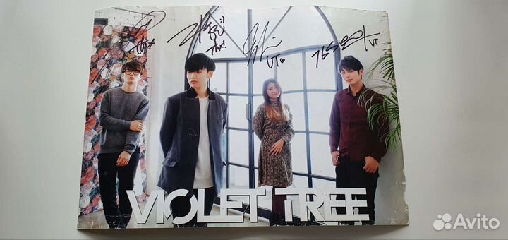 Автографы Violet Tree
