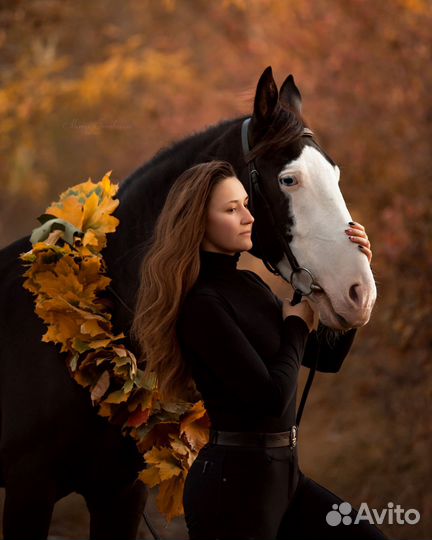 Прокат на лошади