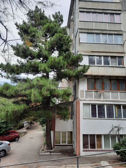 Здание, 229.8 м²