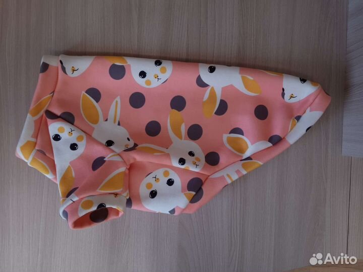 Одежда для собаки