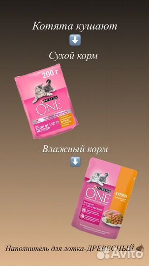 Кошечка в добрые руки