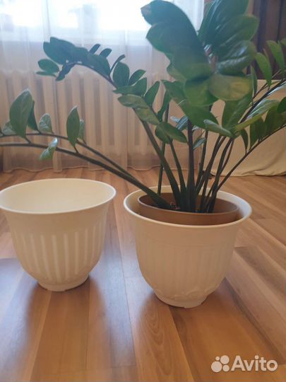 Большой цветочный горшок