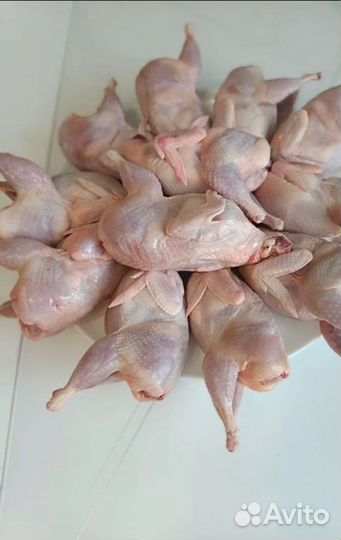 Мясо перепелов, копчёные перепела, мясные изделия