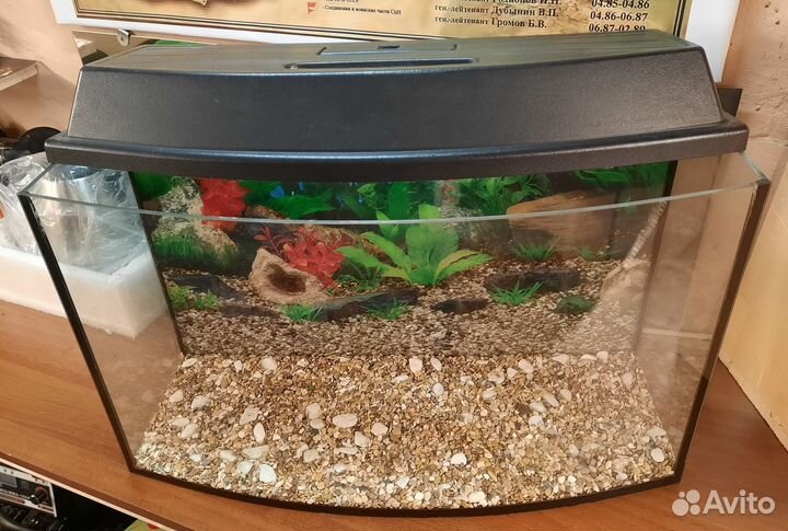 Аквариум