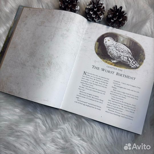 Гарри Поттер и тайная комната на английском