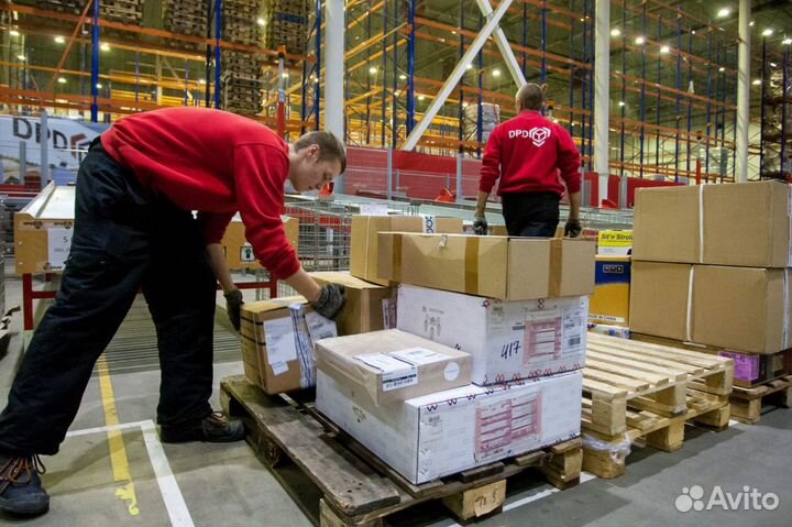 Оператор терминала (сотрудник склада)