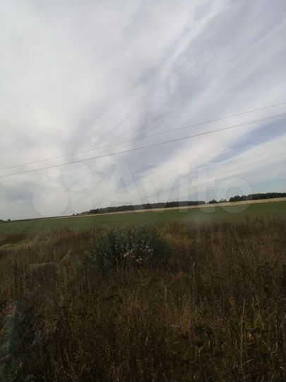 Участок 56 га (СНТ, ДНП)