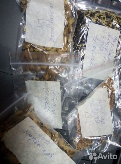 Семена деревьев