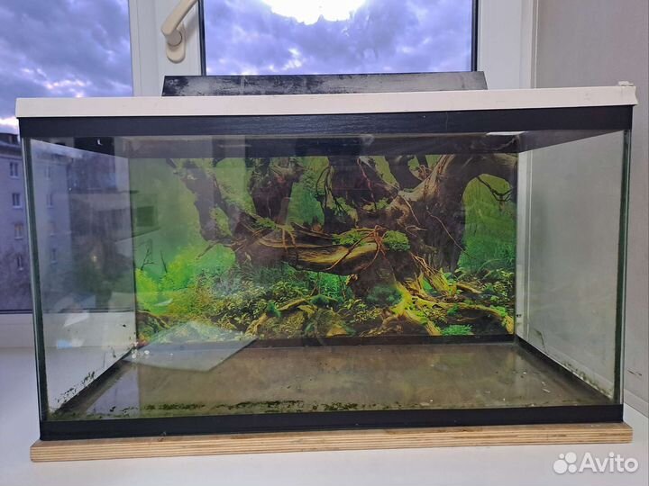 Аквариум
