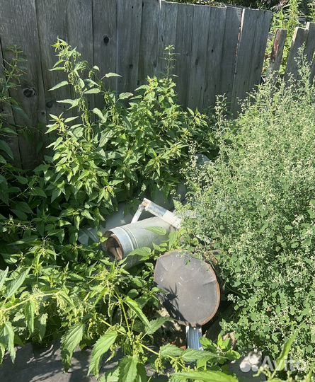 Твердоотаплеваемый котел терлодар