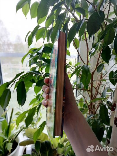 Гердемарины вперёд