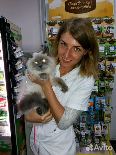 Ветеринарный врач