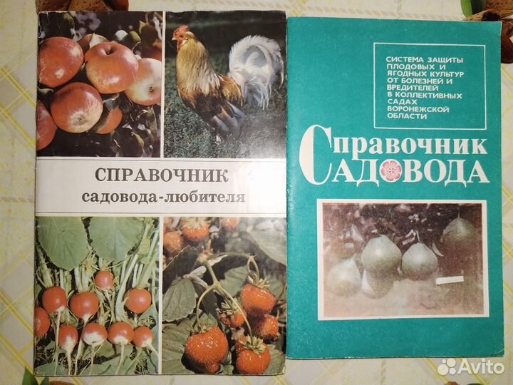 Вегетарианские блюда