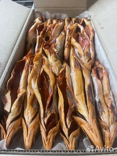 Рыба холодного копчения : Голец потр. тушка