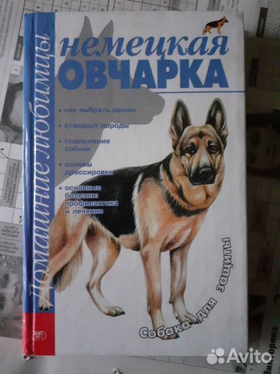 По фотоделу и домашним животным собак,кошек,лошади