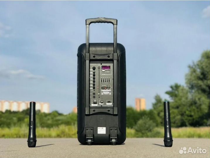 Колонка eltronic 20-05