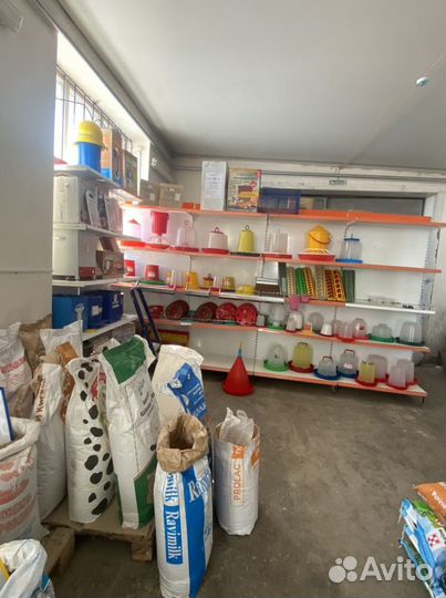 Ячмень урожай 2023