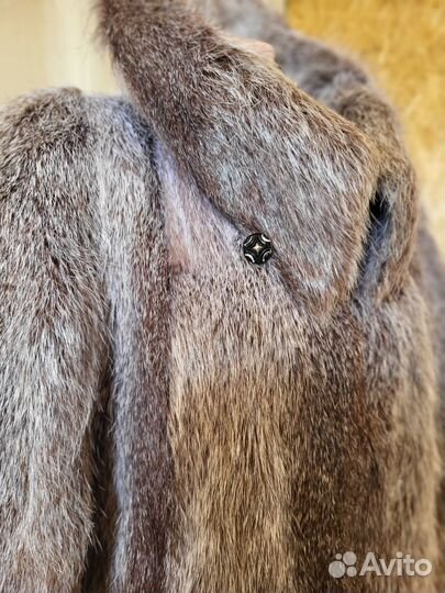 Шуба нутрия