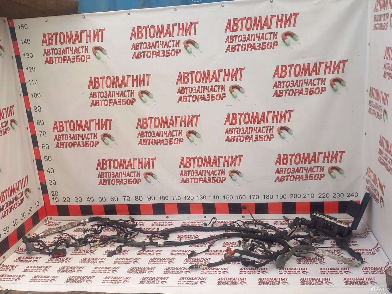 Проводка подкапотная Форд Мустанг 6 2.3 14-23