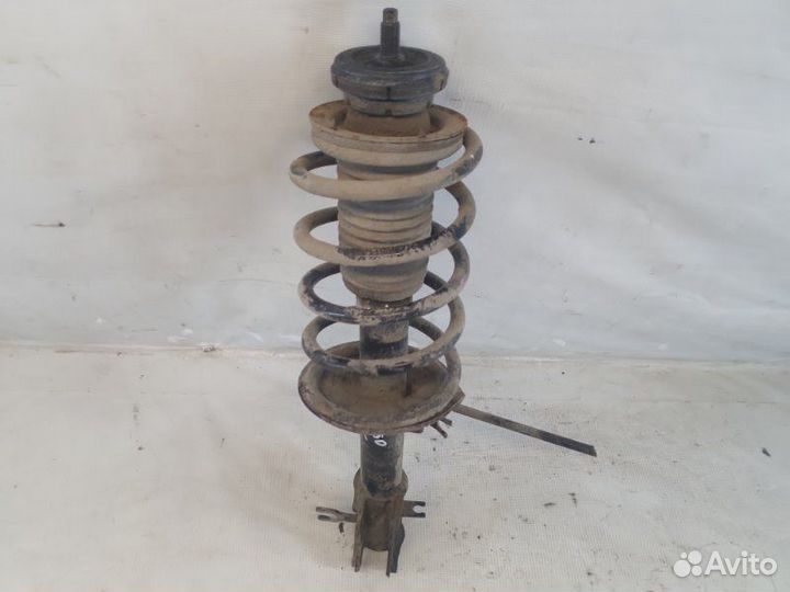 Амортизатор передний левый Chevrolet Aveo T250