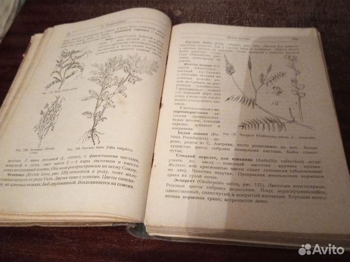Бородин / Краткий учебник ботаники