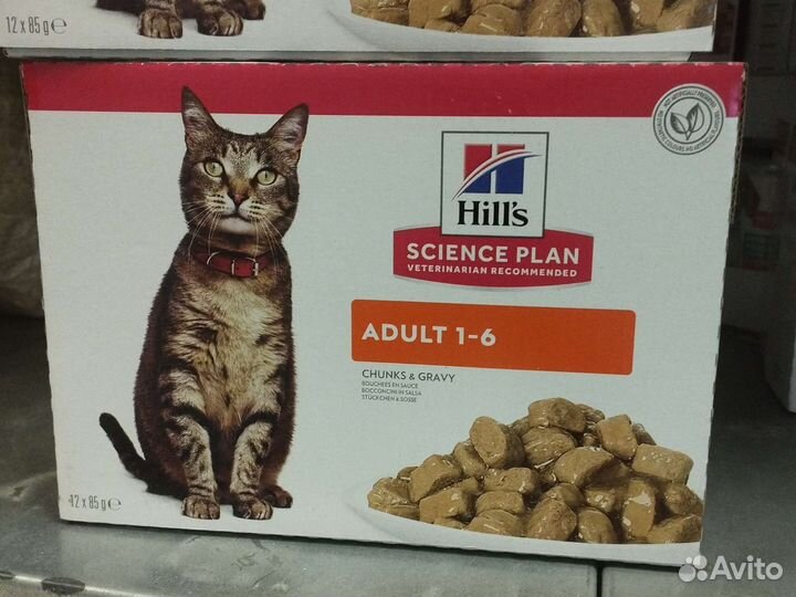 Влажный корм для кошек Хиллс