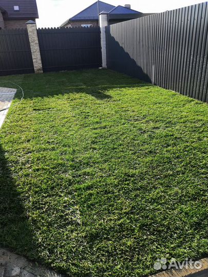 Газон Рулонный (Городской \Элит \Спортивный)