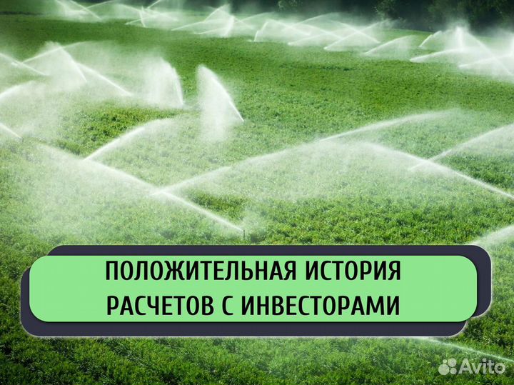 Инвестор в готовый бизнес / Поиск инвестора