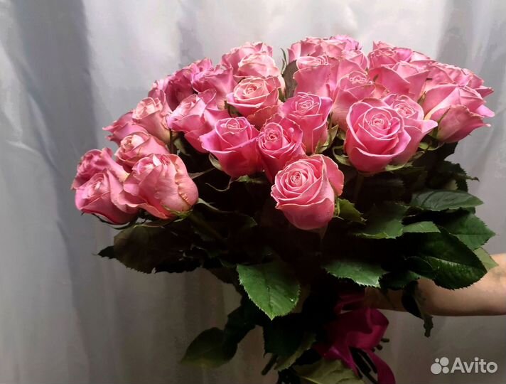 Розы, букет цветов, 101 роза, 51 роза. Розы опт