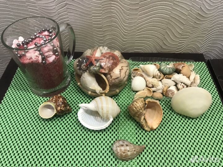 Морские ракушки и кораллы