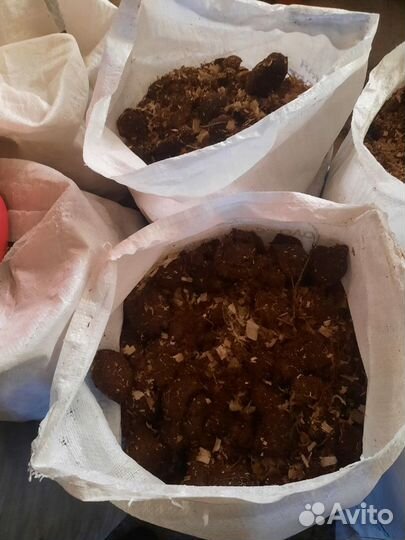 Конский навоз