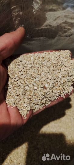 Ракушка для кур, кормовая